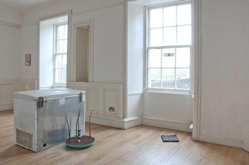 Installation view