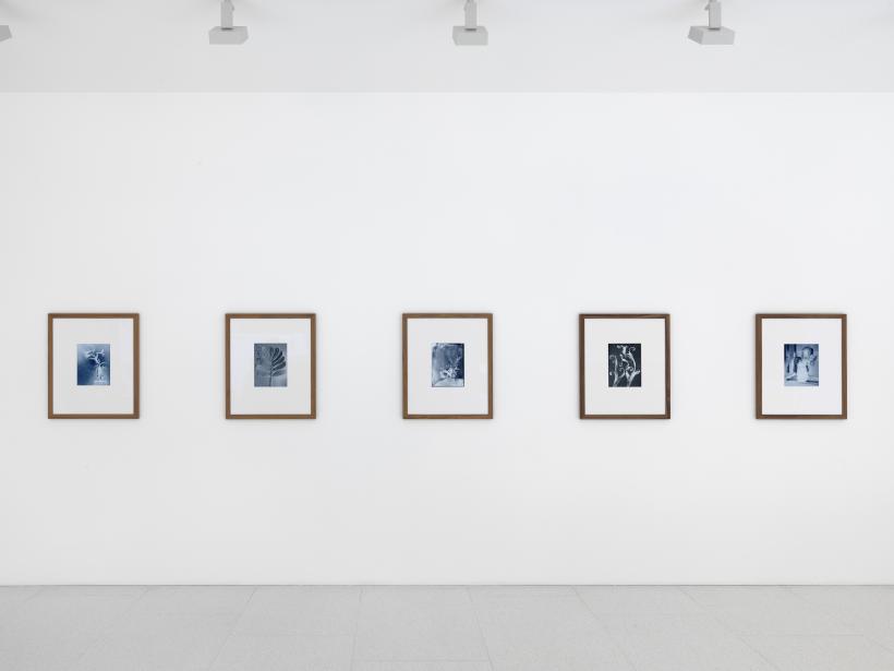 nature morte at Gagosian Gallery, Davies St, London. 6 August - 26 September, 2015