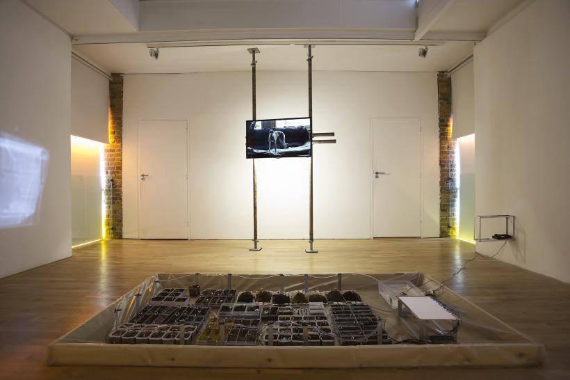 Tom McCaughan, The Indefatigable Field, 2016