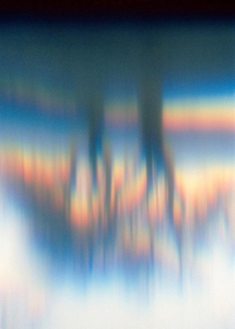 Steven Beckly, Tree of Hearts, 2017, 56 &times; 40 inches, colour transparency, courtesy the artist and Birch Contemporary