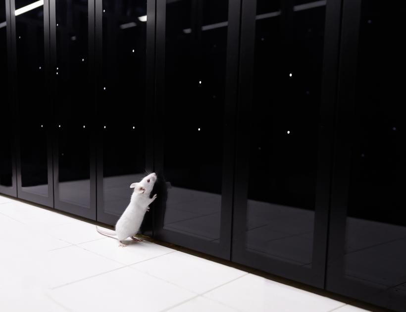 Degoutin & Wagon, World Brain, 2015, HD Video. All I Know Is What Is On The Internet, on display at The Photographers' Gallery until 24 February 2019. 