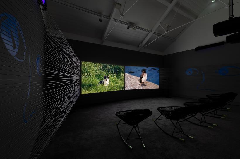 For the First Baby Born in Space by Webb-Ellis as part of Jerwood / FVU Awards 2019: Going, Gone exhibition at Jerwood Space