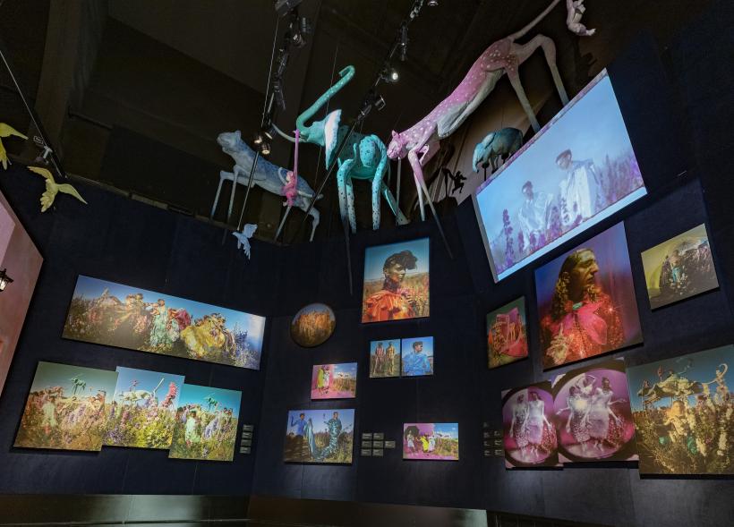 V&A Tim Walker Wonderful Things Exhibition Installation View - 'Cloud 9' Section