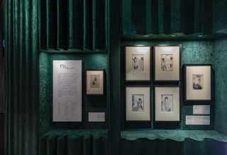 V&A Tim Walker Wonderful Things Exhibition Installation View - 'Pen & Ink' Section